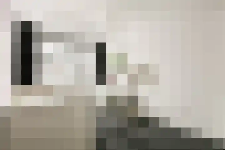 Baarslaan 124 Voorhout thumbnail 12