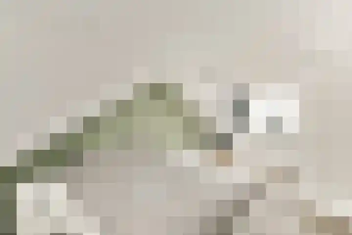 Baarslaan 124 Voorhout thumbnail 20