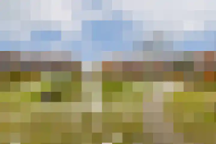 Baarslaan 124 Voorhout thumbnail 24
