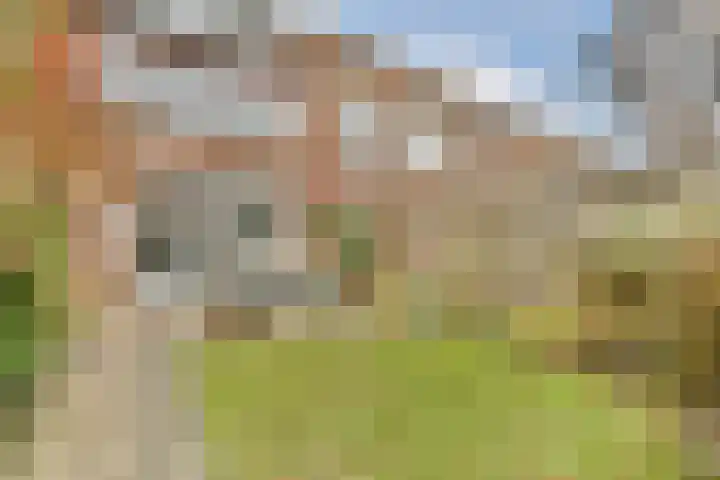 Baarslaan 124 Voorhout thumbnail 9
