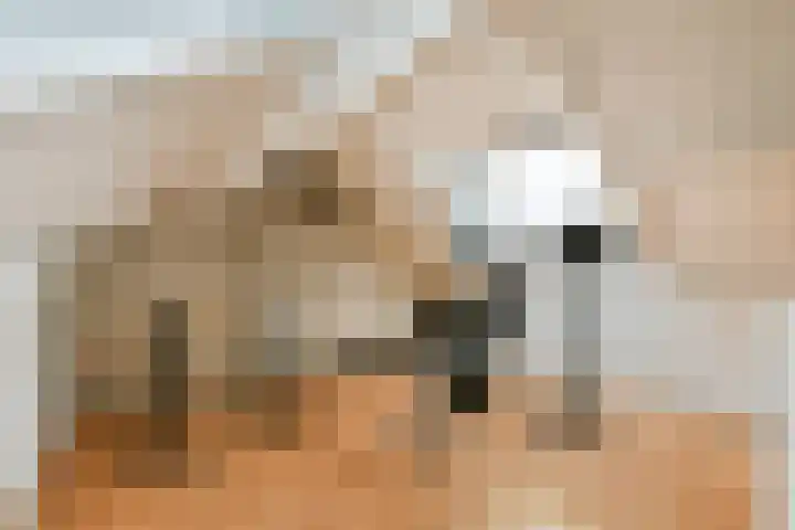 Baarslaan 130 Voorhout thumbnail 22