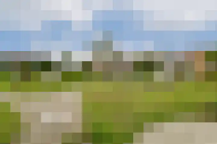 Baarslaan 130 Voorhout thumbnail 24