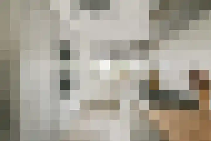 Baarslaan 130 Voorhout thumbnail 5