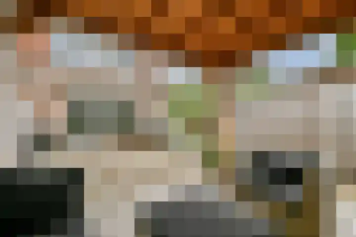Baarslaan 130 Voorhout thumbnail 7