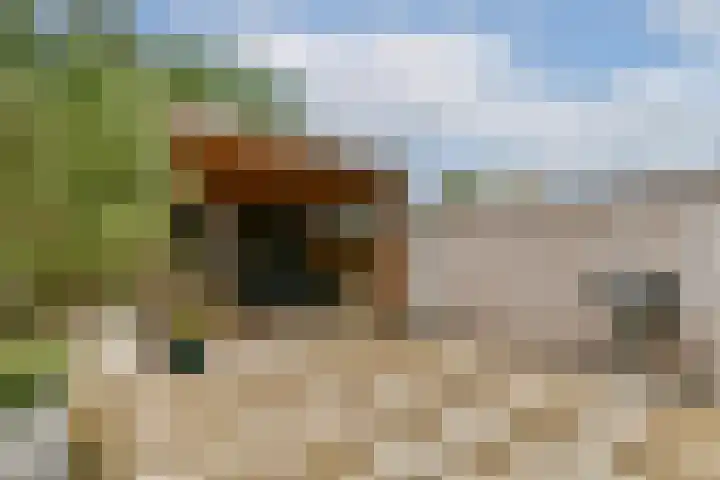 Baarslaan 130 Voorhout thumbnail 8