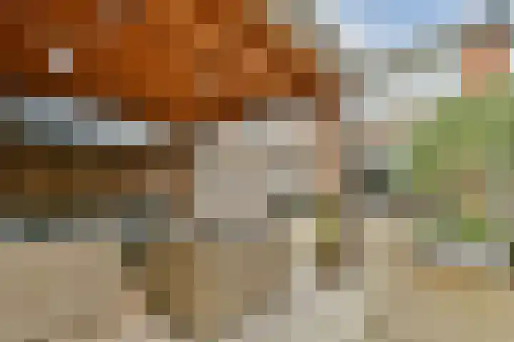 Baarslaan 130 Voorhout thumbnail 9