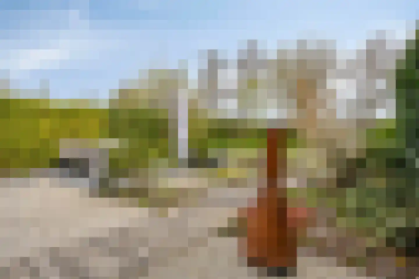 Baarslaan 63 Voorhout thumbnail 38