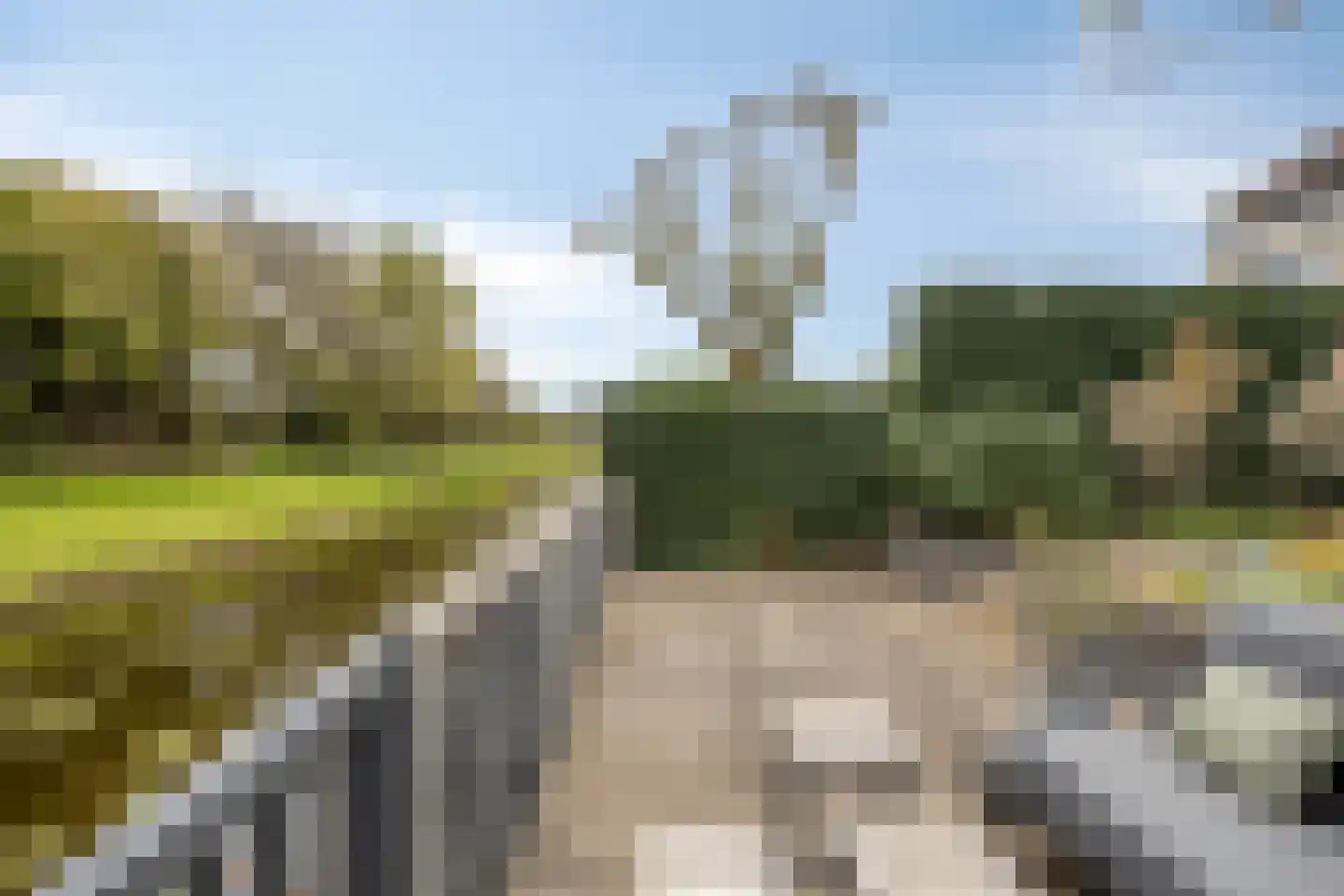 Baarslaan 63 Voorhout thumbnail 41