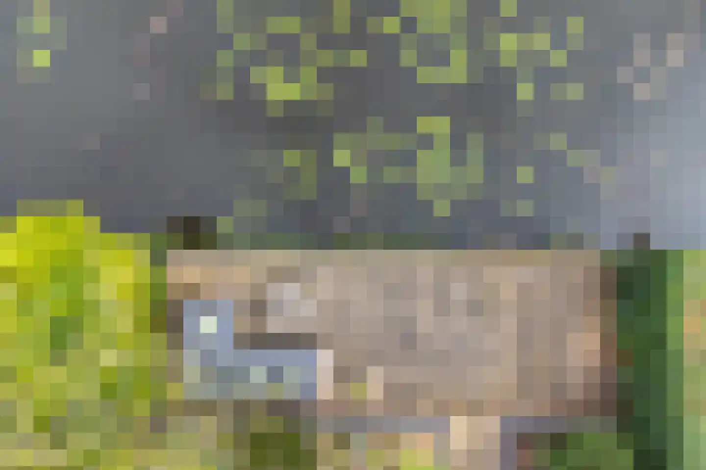 Baarslaan 63 Voorhout thumbnail 44
