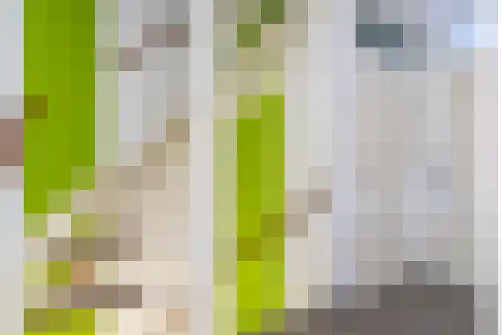 Baarslaan 82 Voorhout thumbnail 10