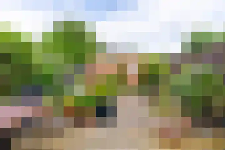 Baarslaan 82 Voorhout thumbnail 22