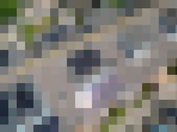 Baarslaan 82 Voorhout thumbnail 26