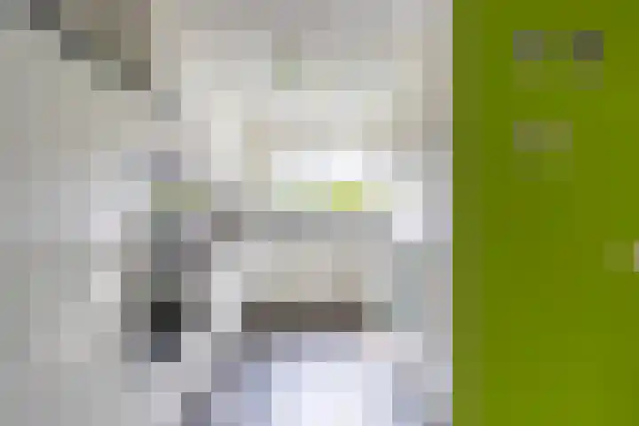 Baarslaan 82 Voorhout thumbnail 6