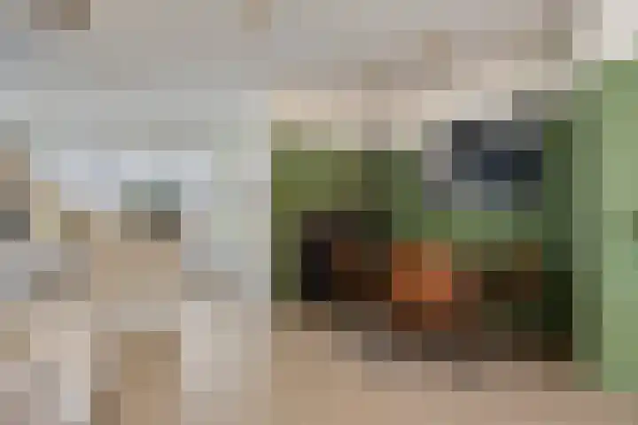 Baarspad 7 Hoogvliet Rotterdam thumbnail 14