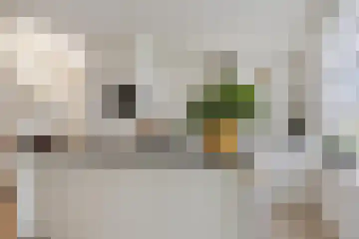 Baarspad 7 Hoogvliet Rotterdam thumbnail 17