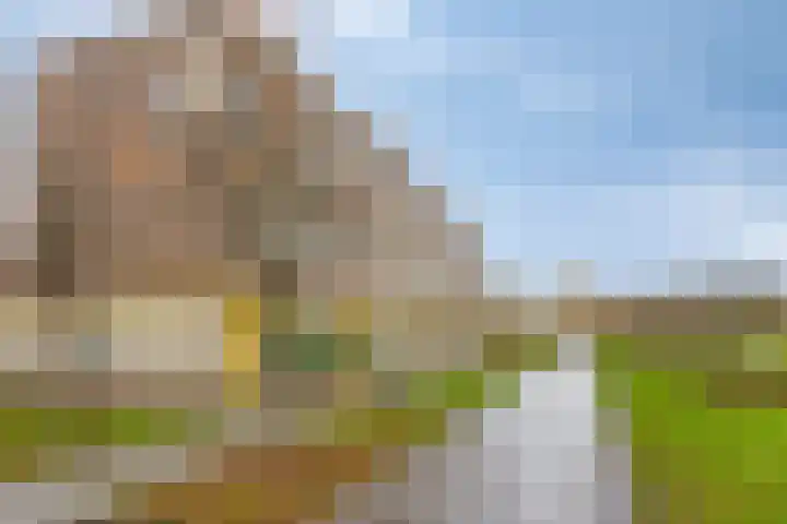 Baarspad 7 Hoogvliet Rotterdam thumbnail 38