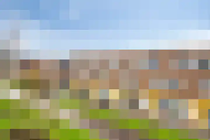 Baarspad 7 Hoogvliet Rotterdam thumbnail 4