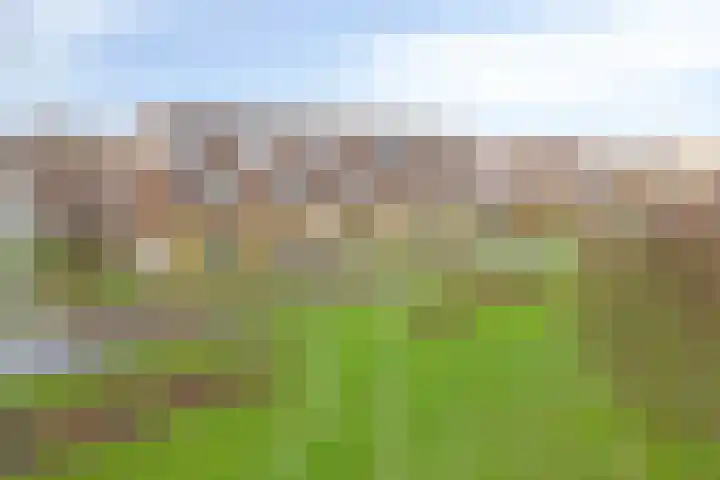 Baarspad 7 Hoogvliet Rotterdam thumbnail 47