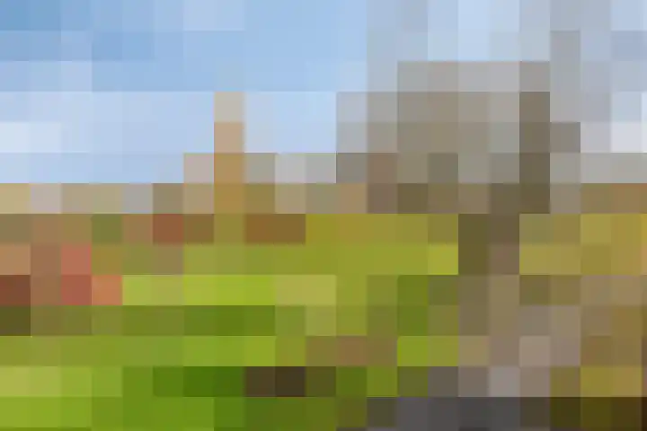 Baarspad 7 Hoogvliet Rotterdam thumbnail 48