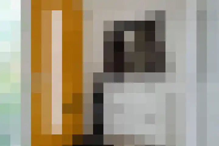 Baarspad 7 Hoogvliet Rotterdam thumbnail 8
