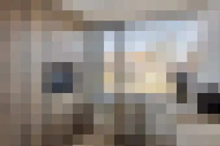 Baarssingel 28 Den Haag thumbnail 10