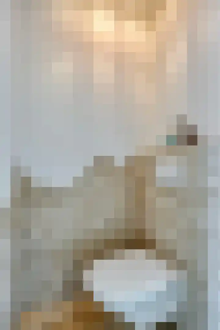 Baarssingel 28 Den Haag thumbnail 12