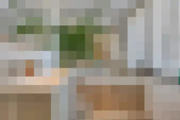 Baarssingel 28 Den Haag thumbnail 15