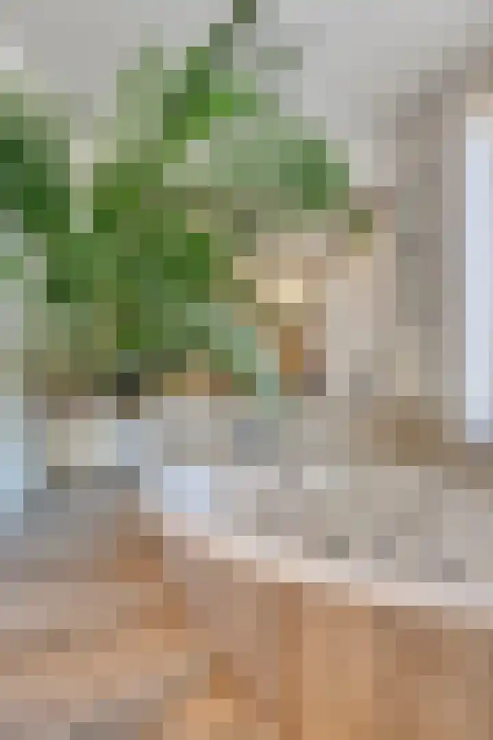 Baarssingel 28 Den Haag thumbnail 16