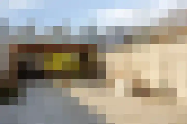 Baarssingel 28 Den Haag thumbnail 25