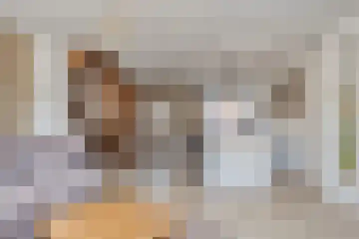 Baarssingel 28 Den Haag thumbnail 6