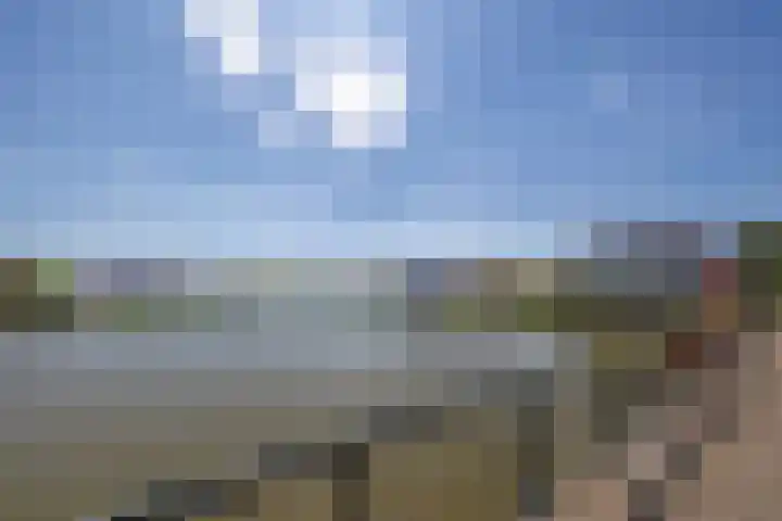 Baarssingel 4 Den Haag thumbnail 42