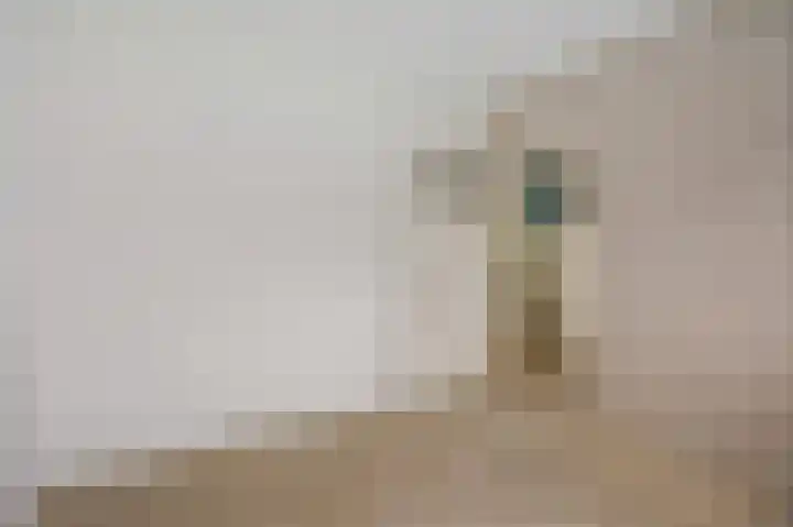 Baarssloot 11 Houten thumbnail 20