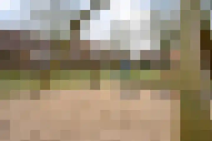 Baarssloot 11 Houten thumbnail 28