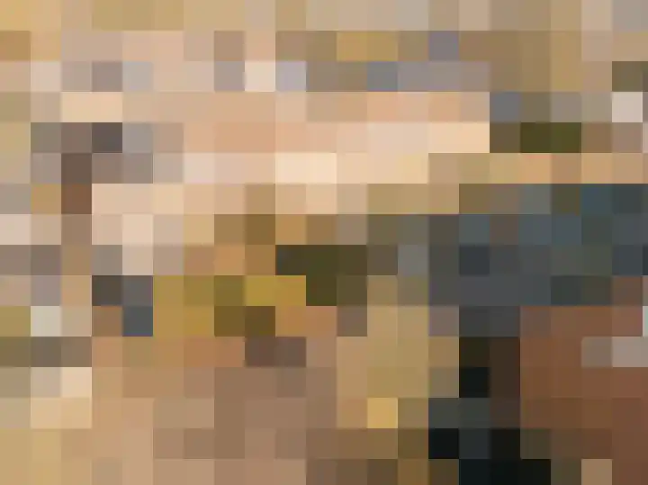 Baarssloot 11 Houten thumbnail 29