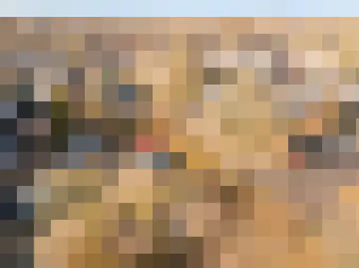 Baarssloot 11 Houten thumbnail 30