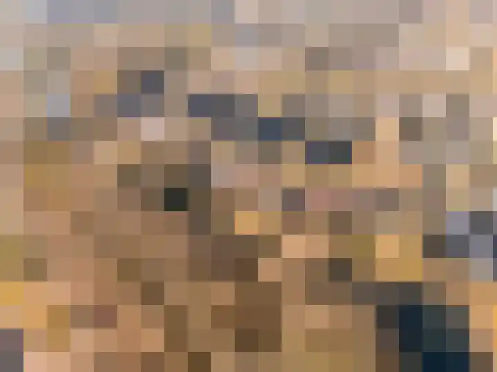 Baarssloot 11 Houten thumbnail 33
