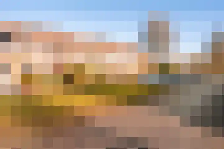 Baarssloot 11 Houten thumbnail 4