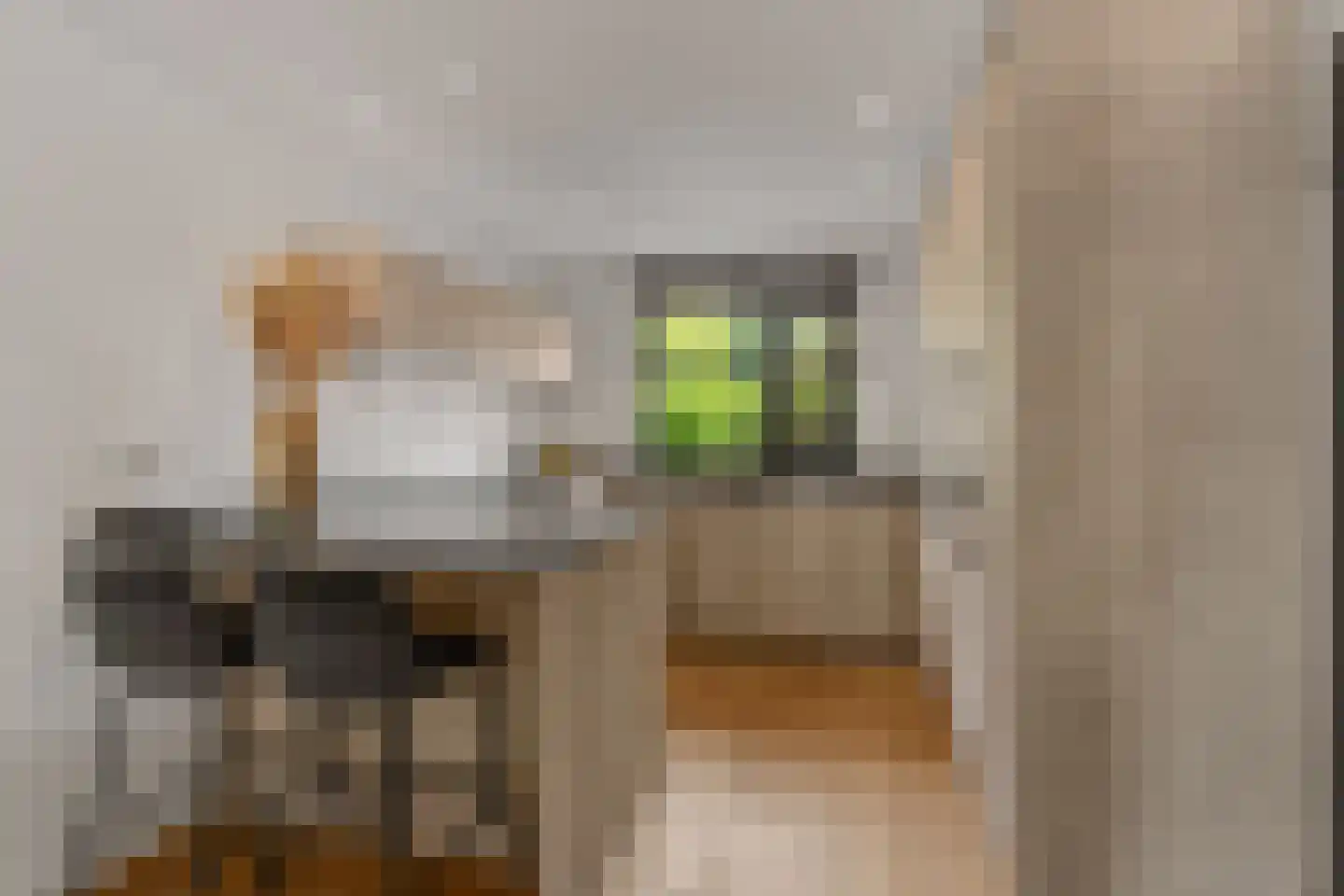 Baarssloot 14 Houten thumbnail 10