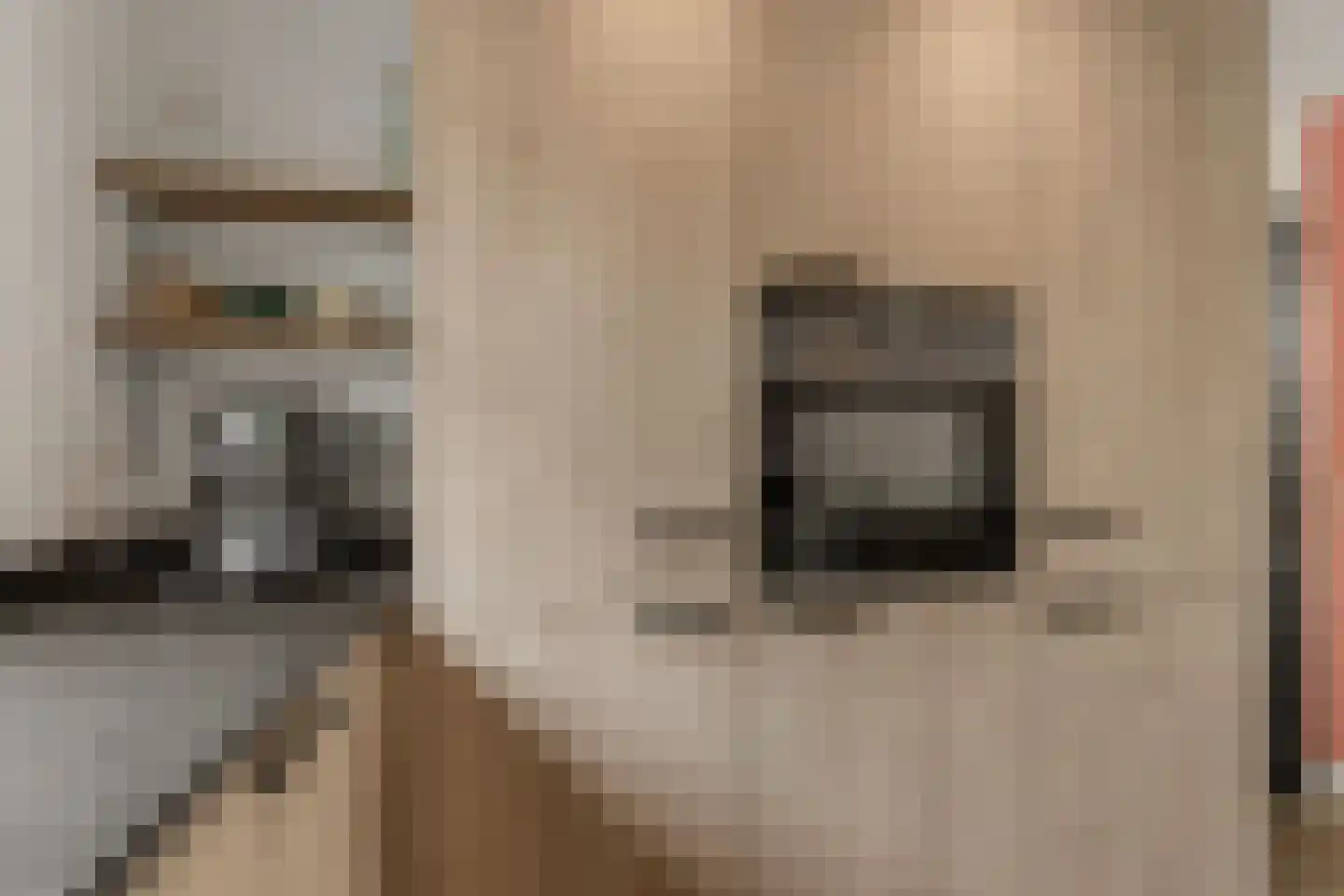 Baarssloot 14 Houten thumbnail 14