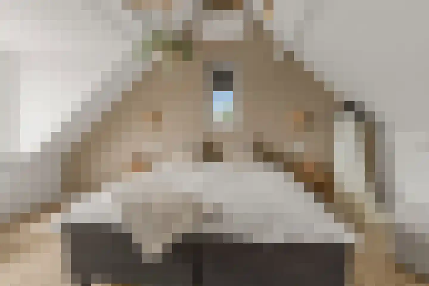 Baarssloot 14 Houten thumbnail 28