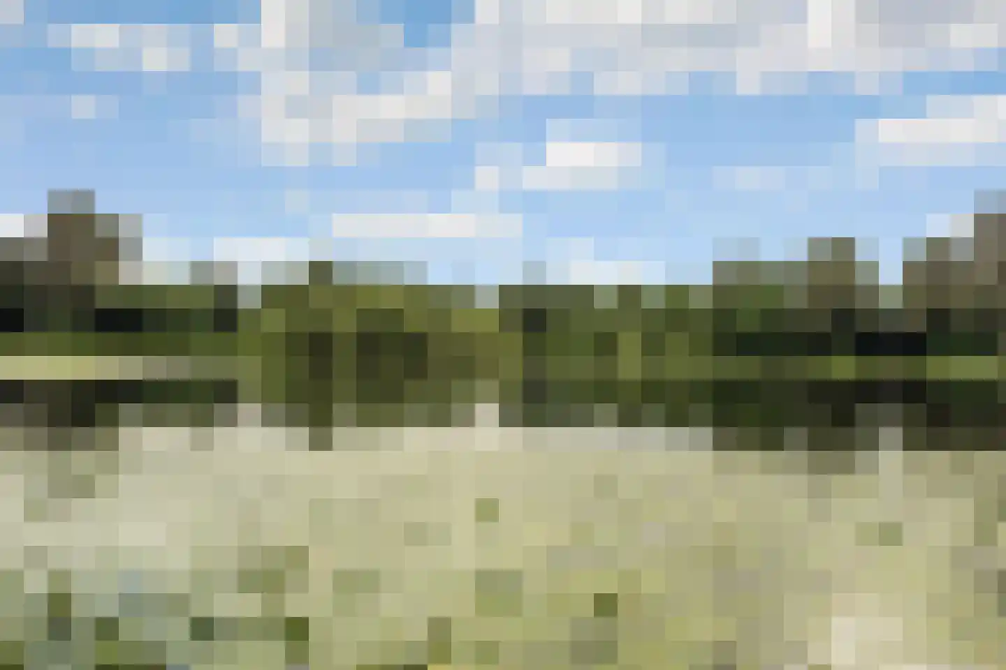 Baarssloot 14 Houten thumbnail 39