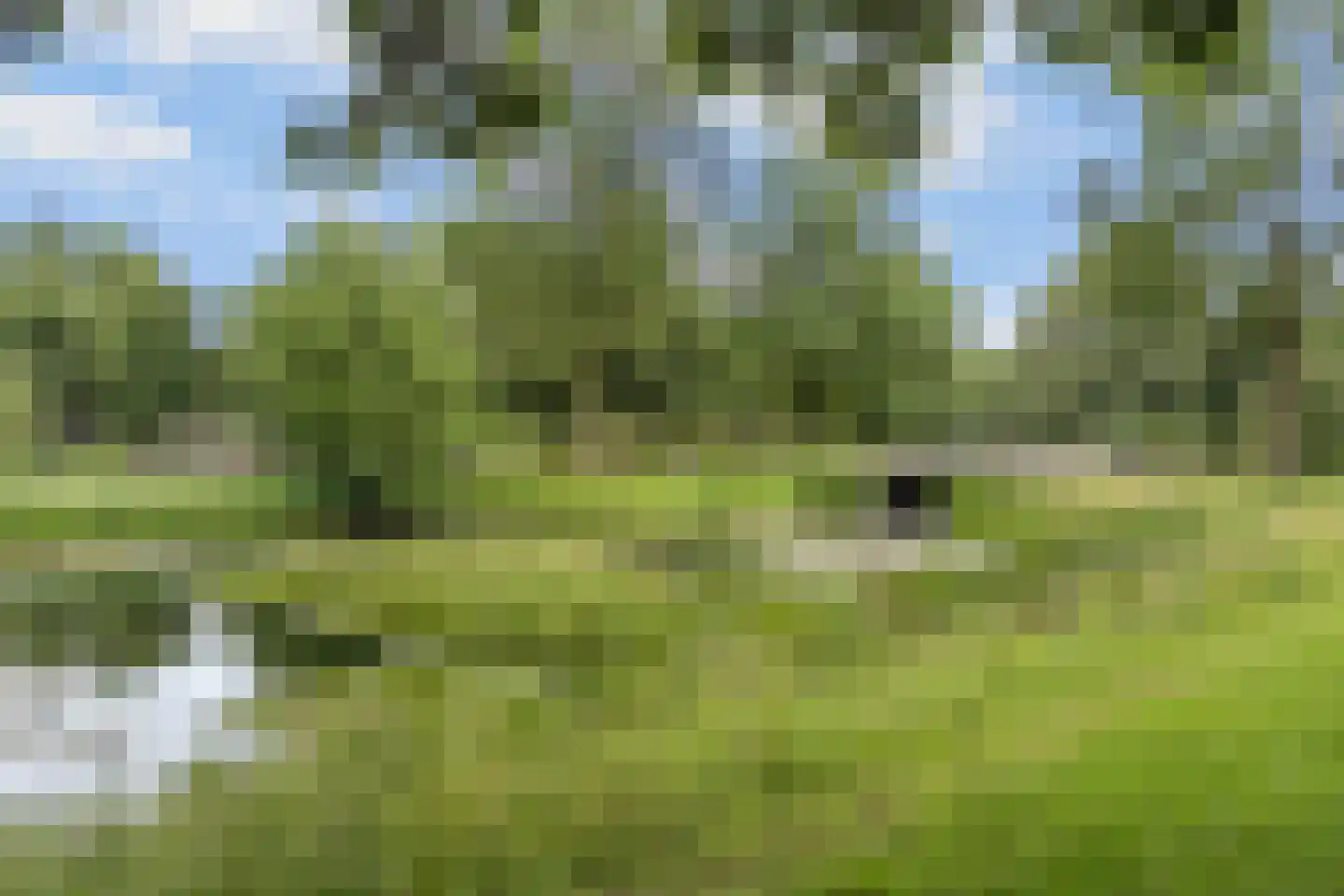 Baarssloot 14 Houten thumbnail 45