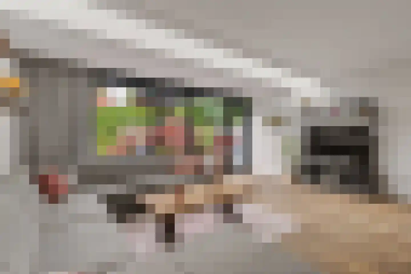 Baarssloot 14 Houten thumbnail 5