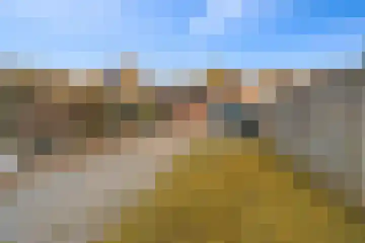 Baarssloot 26 Houten thumbnail 21
