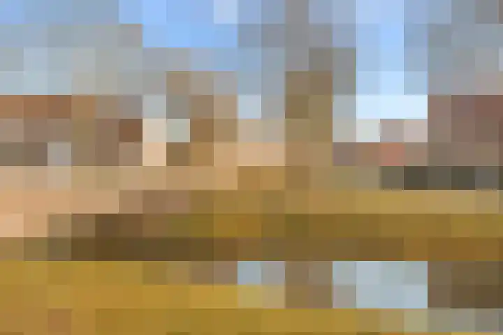 Baarssloot 26 Houten thumbnail 27