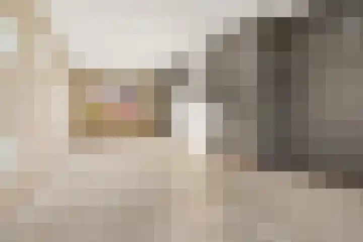 Baarssloot 26 Houten thumbnail 4