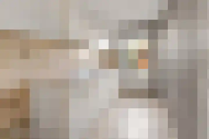 Baarssloot 26 Houten thumbnail 6