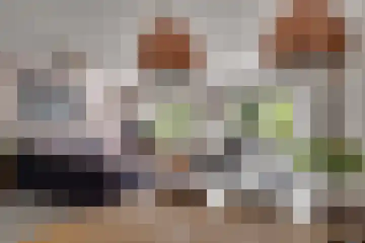 Baarssloot 6 Houten thumbnail 10