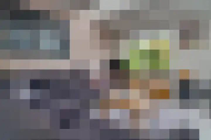 Baarssloot 6 Houten thumbnail 4