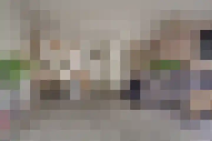 Baarssloot 6 Houten thumbnail 5